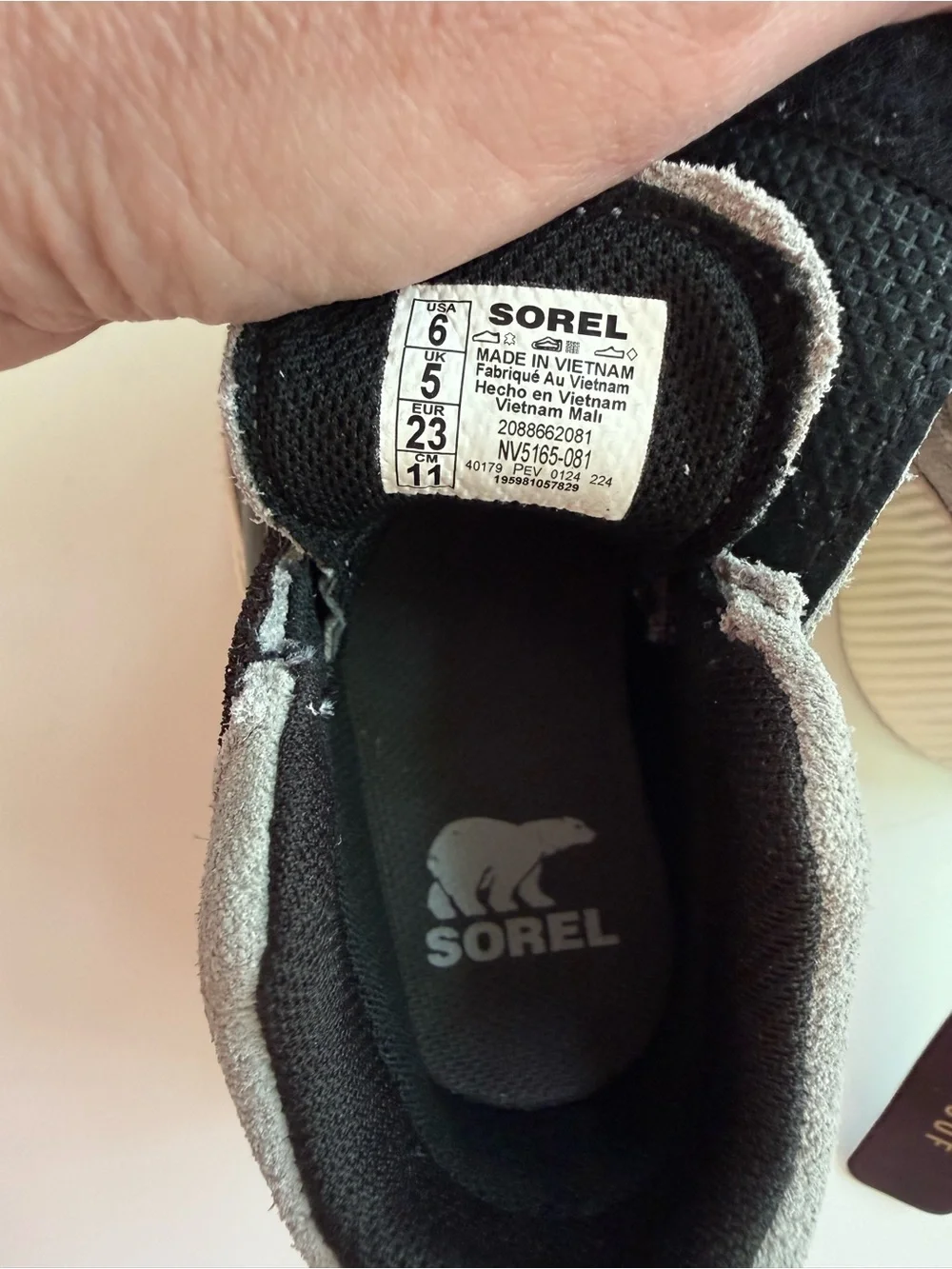 Sorel measures duck